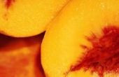 Hoe te bevriezen van perziken zonder hen draaien donker