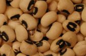 Hoe maak je vegetarisch Black Eyed Peas
