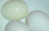 Hoe bewaart u eieren