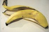 Hoe maak je schoen Pools met banaan schillen