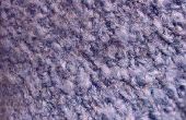 Hoe de zorg voor wol tapijten