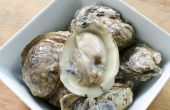 Hoe kook oesters