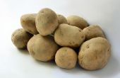 Hoe gekookte aardappelen om vers te houden