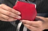 Hoe maak je een Clutch portemonnee met gespen metaal-scharnierend