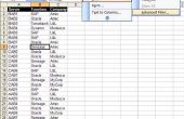 Excel geavanceerde Filter Tutorial