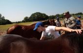 How to Get subsidies voor de Equine Assisted Therapy