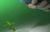 Waterstofperoxide voor het stimuleren van de groei van planten
