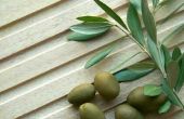 How to Kill Morgellons met olijf-blad Extract