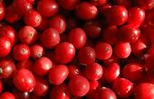 Hoe verdund ongezoete Cranberry sap & Water voor Detox