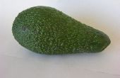 Hoe te stoppen met avocado's van rijping