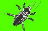 How to Get Rid van kakkerlakken zonder een verdelger