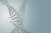 Vier soorten genetisch erfgoed