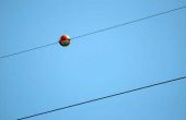Wat zijn de rode ballen op elektrische leidingen?