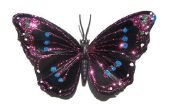 Hoe maak je een vlinder met vleugels kostuum