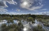 Weekend in het Everglades National Park