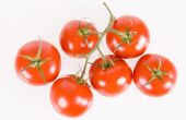 Hoe om te voorkomen dat vogels eten uw tomatenplanten