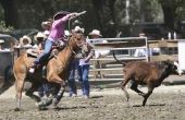 How to Train je eigen Roping paard