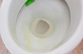 Hoe schoon gele vlekken in Toilet kommen