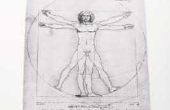 Wat zijn Leonardo da Vinci's prestaties?