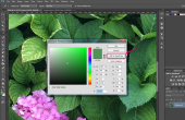 Hoe maak ik aangepaste kleurenpaletten in Photoshop?