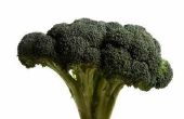 Hoe te animeren van Broccoli