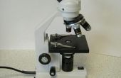 De voordelen van een lichte Microscoop