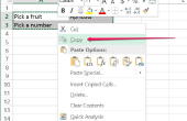 Hoe een Excel Drop-Down Menu-vak invoegen in een Word-Document