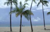 Meest afgelegen stranden Florida in juli