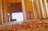 Hoe te repareren termiet schade aan een dragende vloer