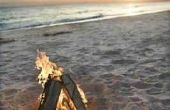 How to Cook krab op een strand-brand