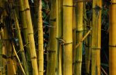 Hulpmiddelen voor het werken met bamboe