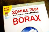 Hoe om te doden van de vlooien met 20 Mule Team Borax