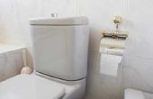 Waarom loodgieters zeggen Pour steenzout in uw Toilet?