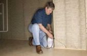 Hoe schoon de schimmel & wit poeder uit kelder muren