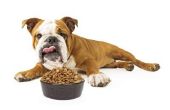 Dog dieet voor een leverziekte