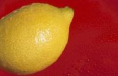 Hoe om het SAP van een citroen door magnetron