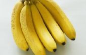 How to Make Fake bananen met behulp van Elmers lijm