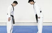 Hoe om te doen een Parallel Taekwondo Take Down
