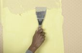 Hoe te gebruiken die voor het verwijderen van behang gemakkelijk donzig