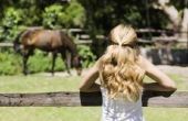 Het gebruik van paarden te leren Respect voor Kids