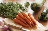 Hoe maak je rauwe groenten Puree