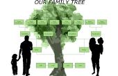 Hoe een Family Tree Maker-bestand importeren