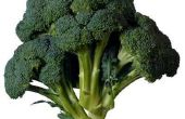Wat Is de minimale kiemkracht temperatuur voor Broccoli?