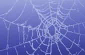 Hoe maak je zelfgemaakte spinnenwebben