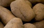 How to Build een aardappel opbergdoos