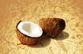 How to Make Room van de kokosnoot van kokosmelk voor Pina Coladas
