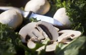 Hoe te weten of champignons zijn slecht