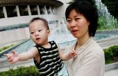 Koreaanse wetten inzake de bewaring van het kind