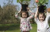 Kindvriendelijke strategieën voor tuinieren van de bloem