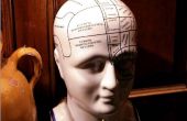 Wat zijn de gevolgen van een beroerte links hersenen?